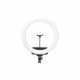 Лампа Кольцевая LED RL-19 Original 46 cm 18" | Remote I 3m cable with plug  I 3 holder I handle bag