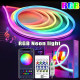 LED лента RGB Neon Rope 5м c пультом 5V