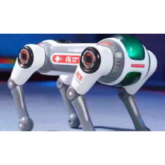 Игрушка Smart Dog 1508D